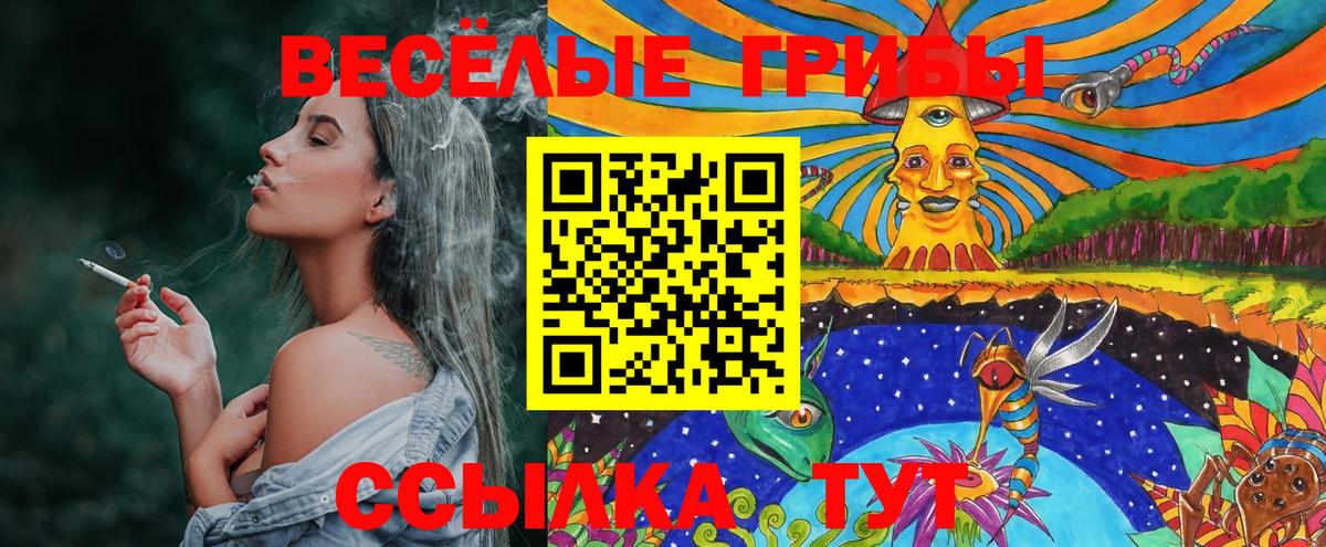Псилоцибиновые грибы прущие грибы  Вход с VPN  Урюпинск  Галлюциногенные грибы Cubensis 